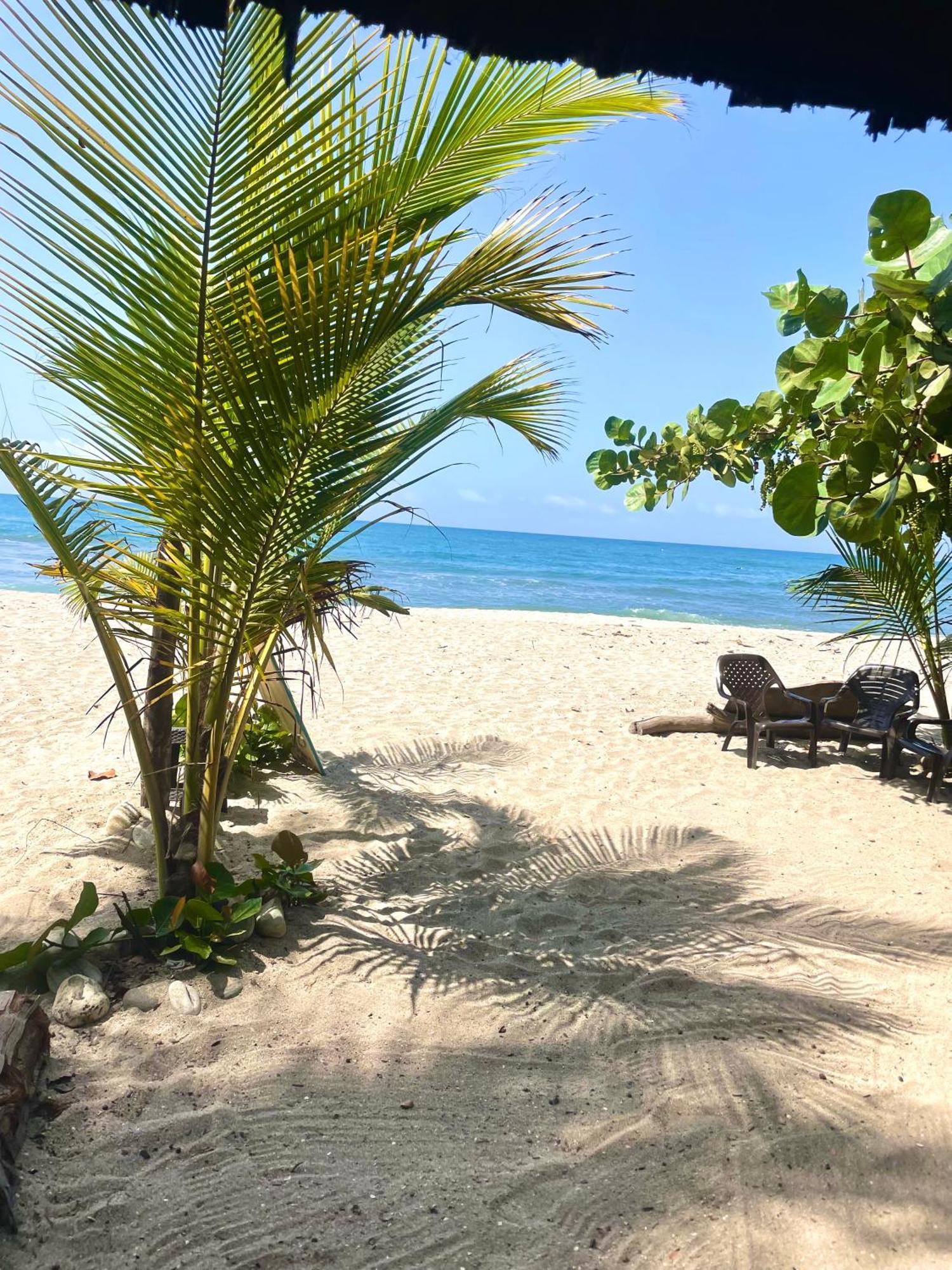 Chill And Surf Mendihuaca Hotel Guachaca Exterior photo