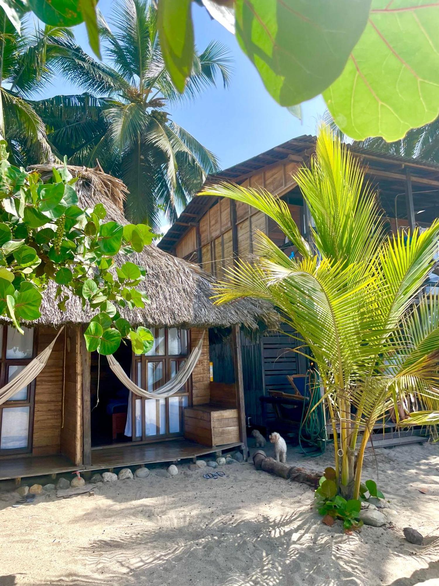 Chill And Surf Mendihuaca Hotel Guachaca Exterior photo