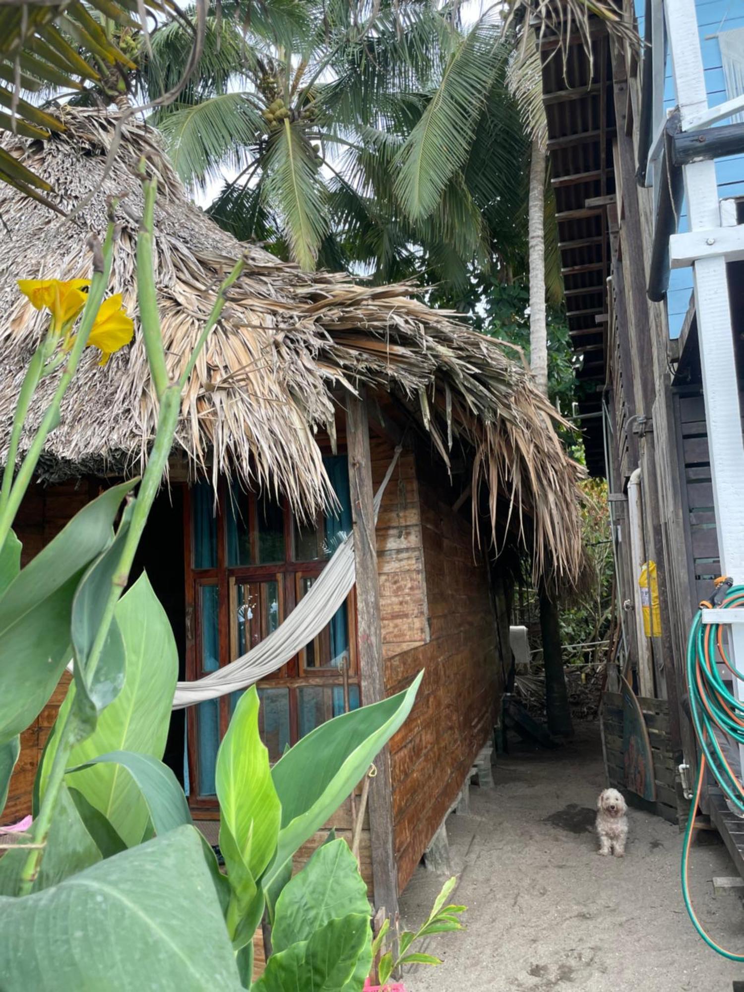Chill And Surf Mendihuaca Hotel Guachaca Exterior photo